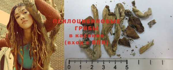 бошки Мегион
